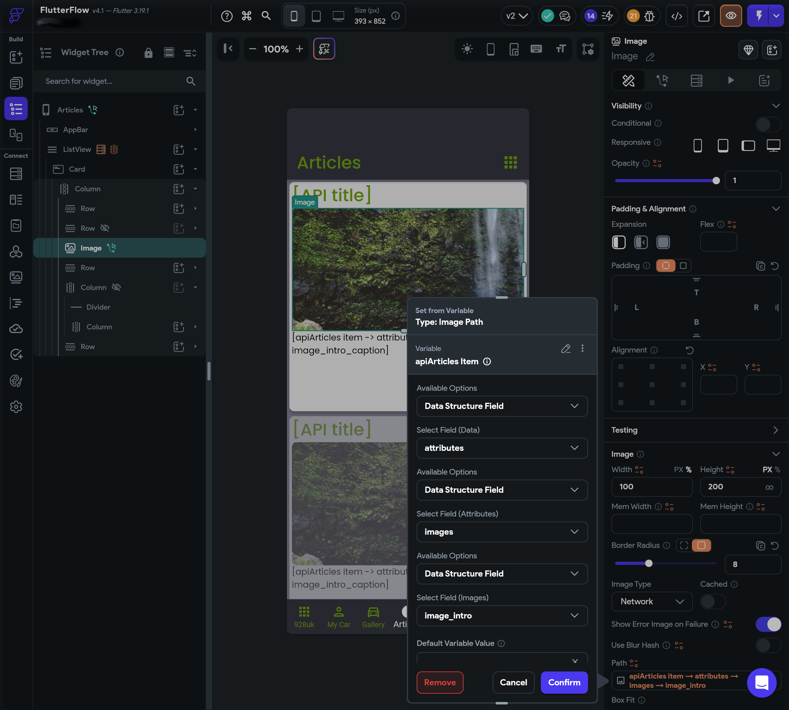 An API result in field in a Flutter based app built using FlutterFlow