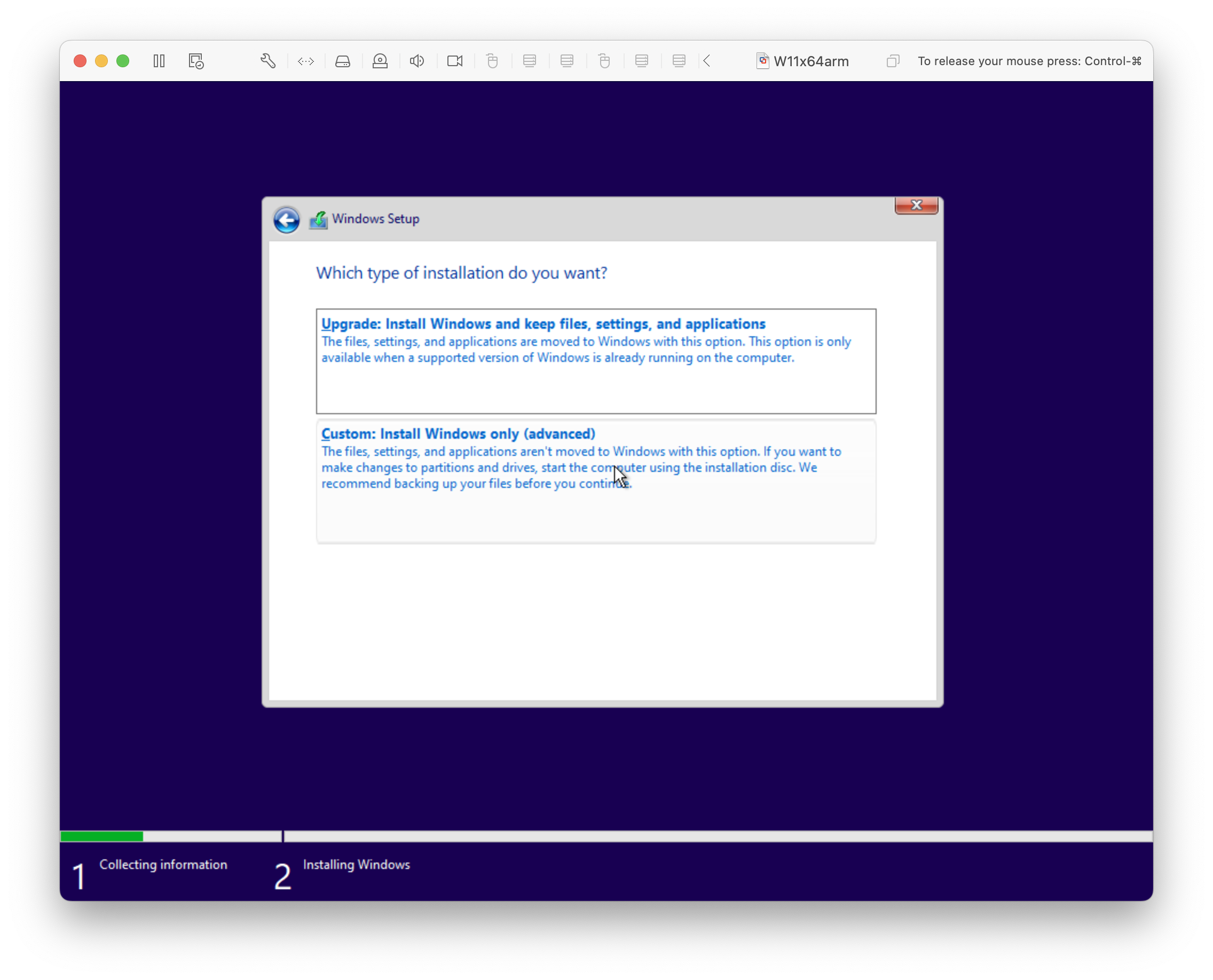 Windows Setup, Whiich type of installation do you want?